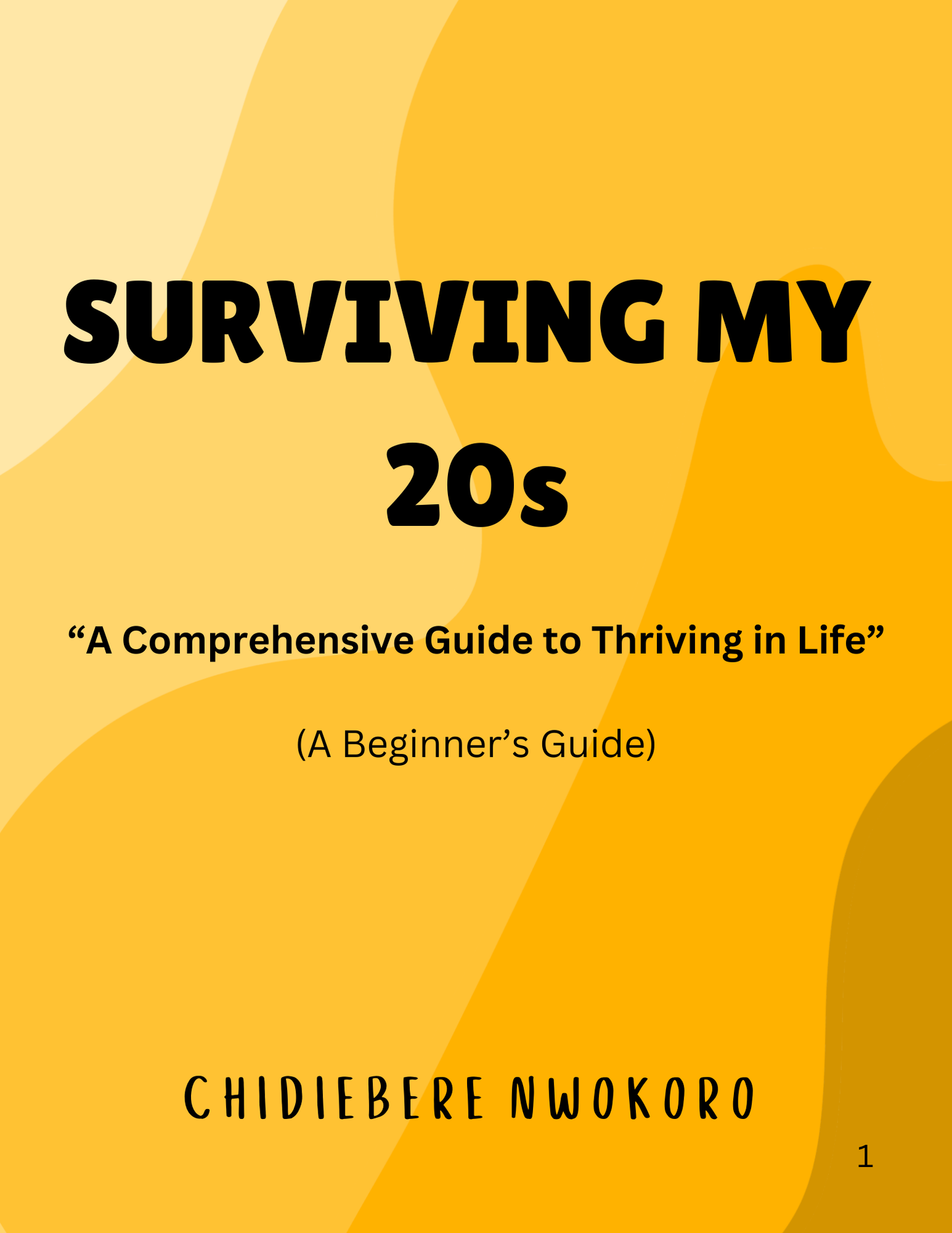 Surviving my 20s: A Beginner's Guide